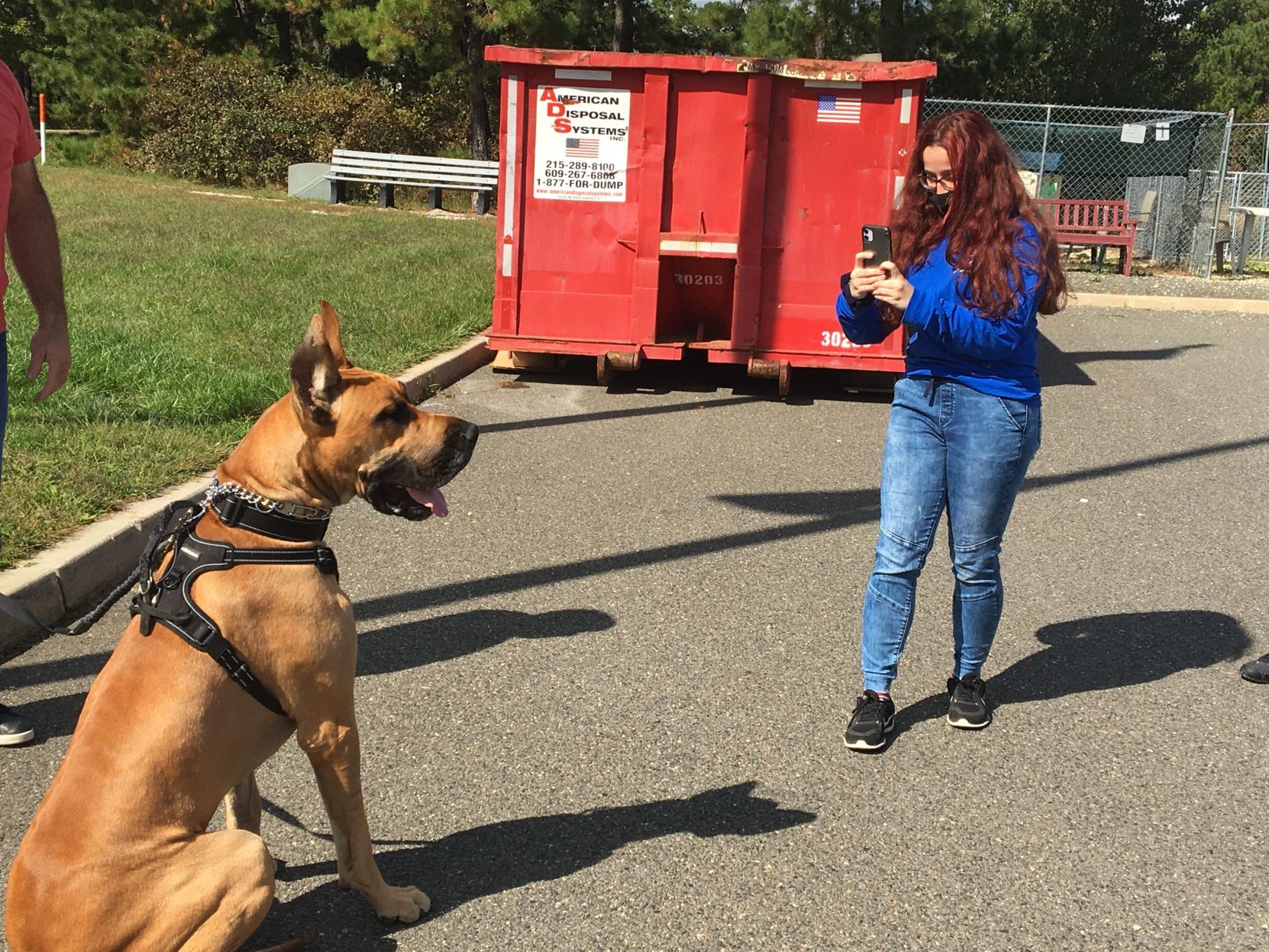 shelter dogs (4).jpeg